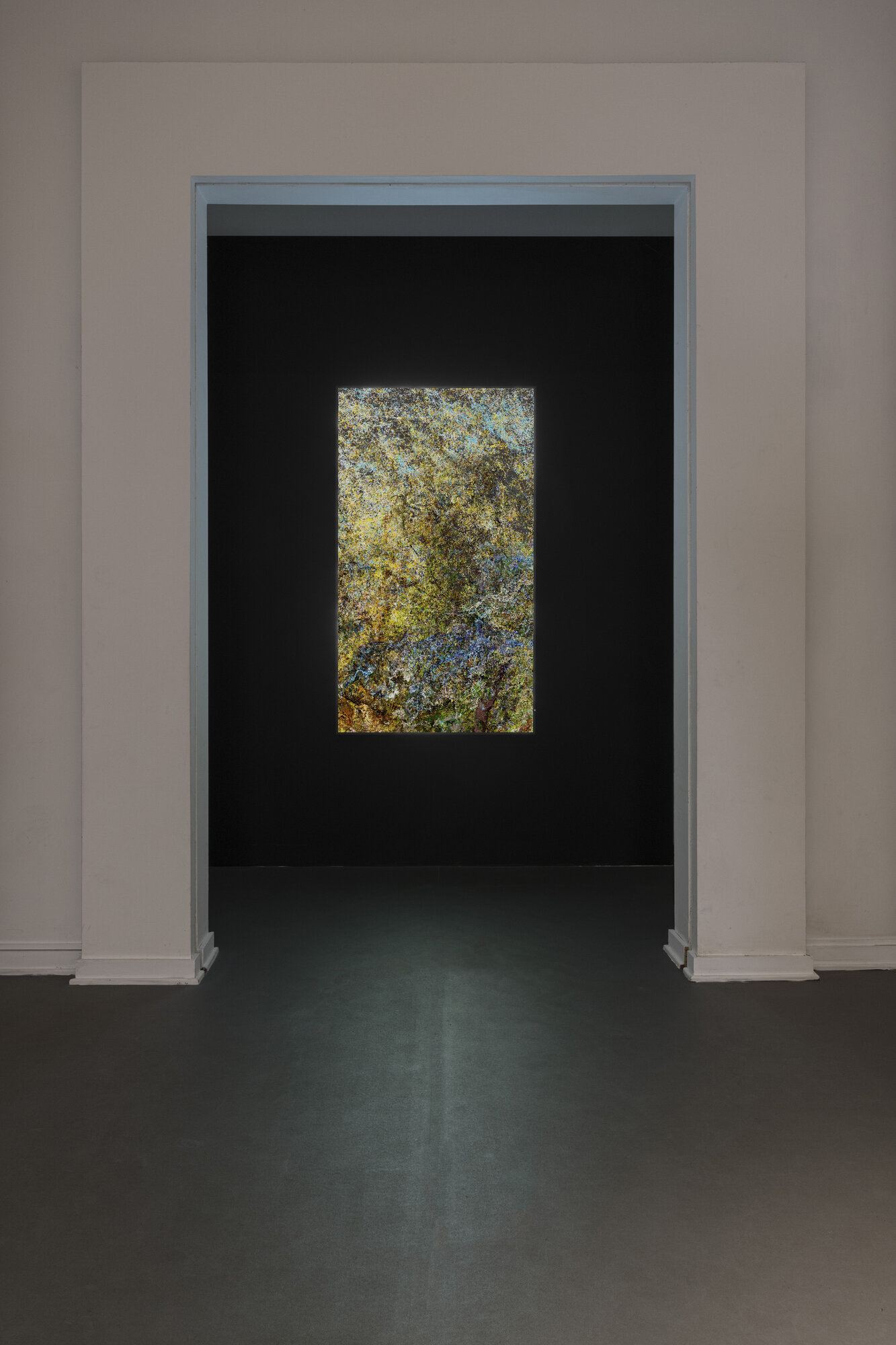 QUADRIENNALE DI ROMA