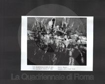 08_61_52_birolli_incendio delle cinque terre.jpg
