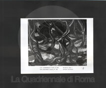 08_64_54_mirabella_oliveto siciliano.jpg