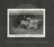 04_39_34_cena_vita dei campi.jpg